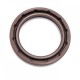 Pressure Oil Seal 40x55x6/6,5 NT01-PL FPM [BABSL+PTFE]